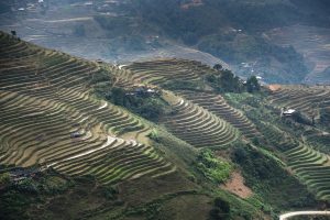 Asie voyage chine, rizieres